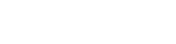 Digital Bloom